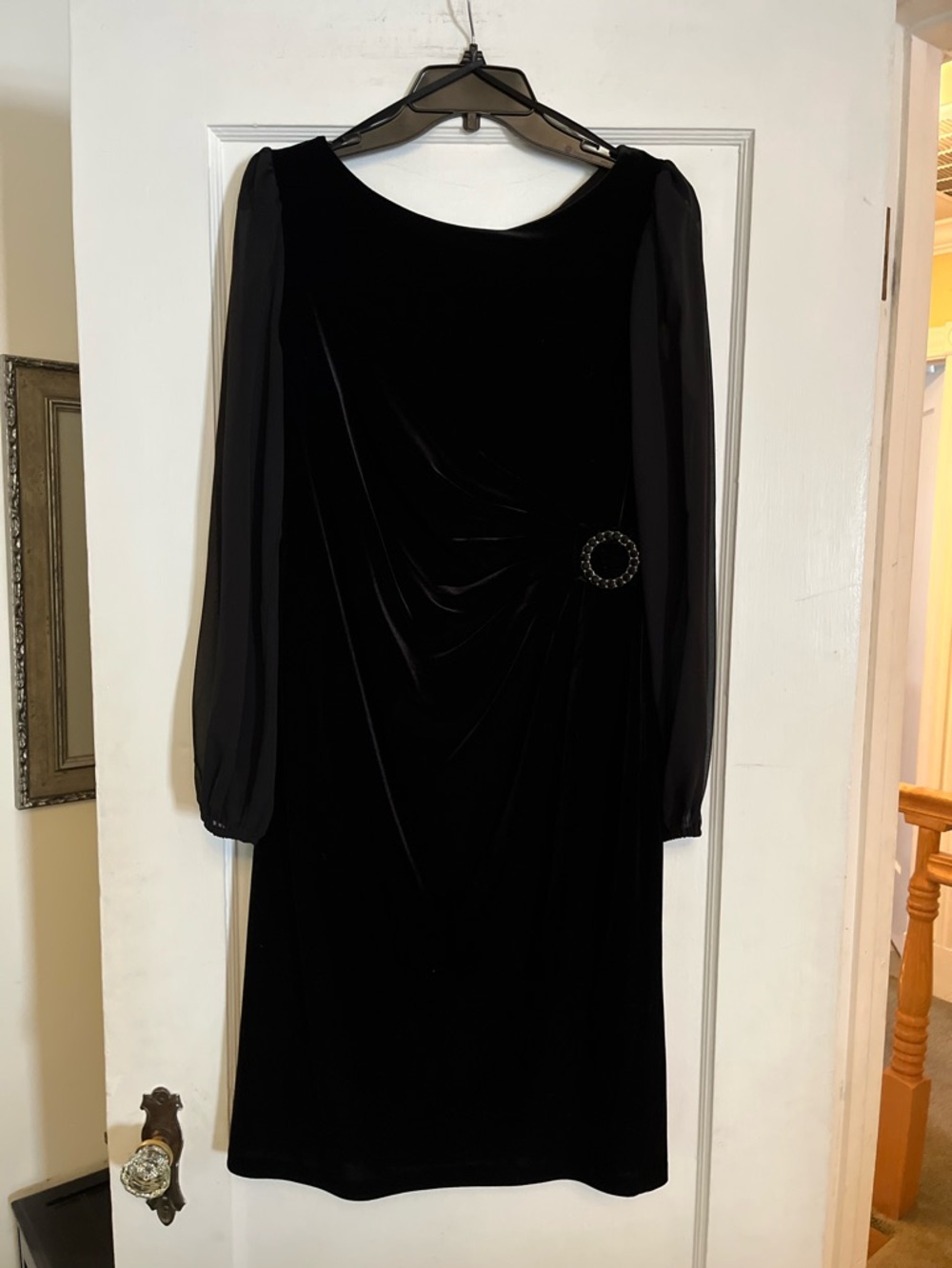 Velvet Dress w Sheer Sleeves and Gorgeous Hardware